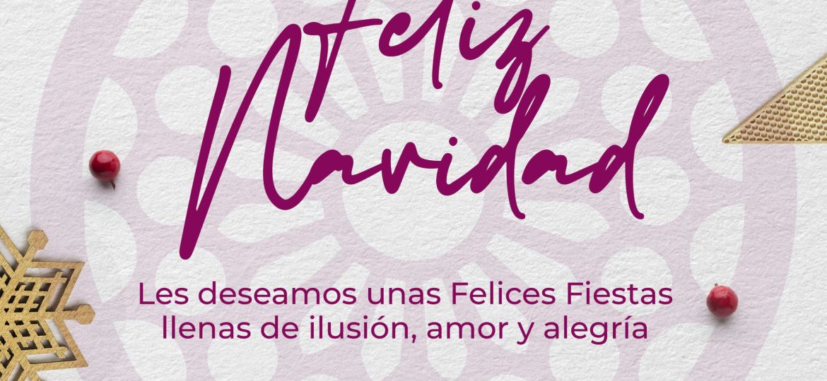 casa-leon-navidad-2024 (Demo)