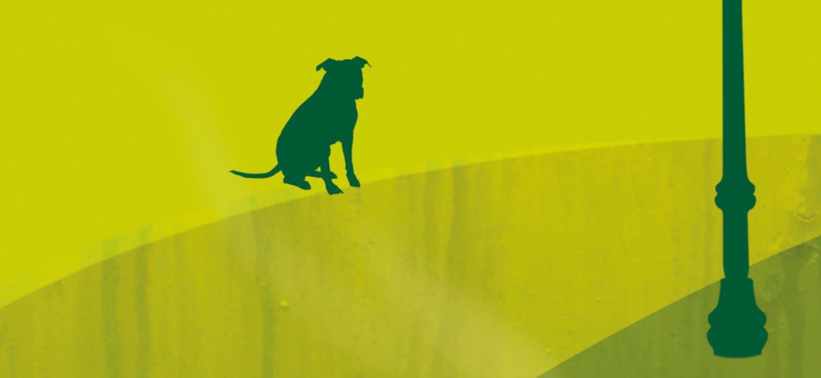 Version 1.0.0 (Demo)